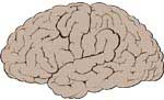 The Sun on a Dead Cossack's Brain