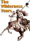 The Wilderness Years