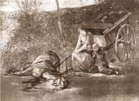 dead horse and owner