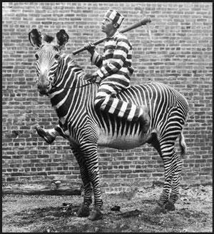 The Legend of Pokadot Joe