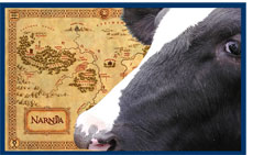 Betsy of Narnia -- cow with map