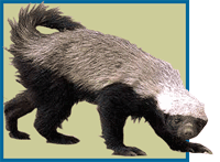 Giant Badger of the Apocalypse