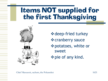 Items NOT supplied at the first Thanksgiving