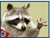 Photo of raccoon wearing swastika