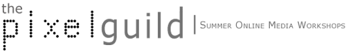 The Pixel Guild